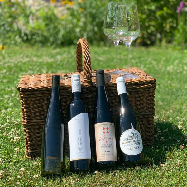 Clear point - Wine Piknik
